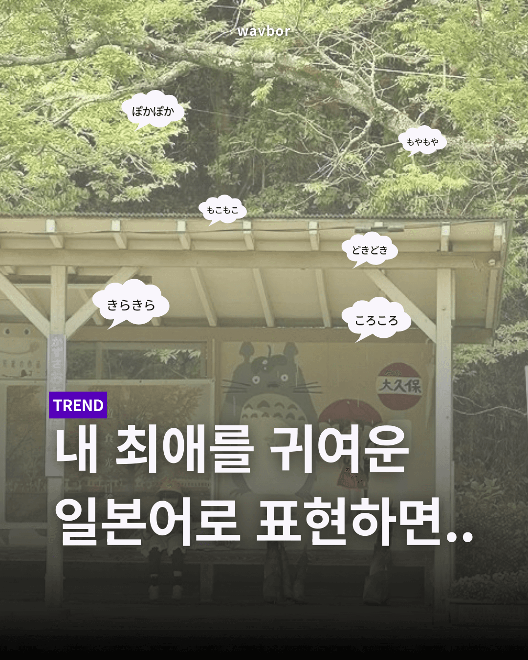 스튜디오 상세 이미지/동영상-0