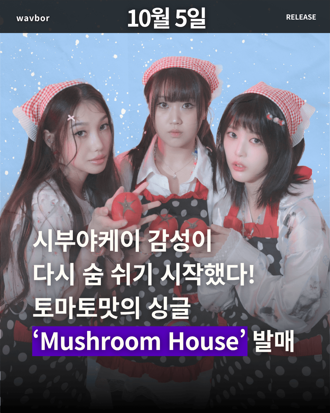 스튜디오 상세 이미지/동영상-1